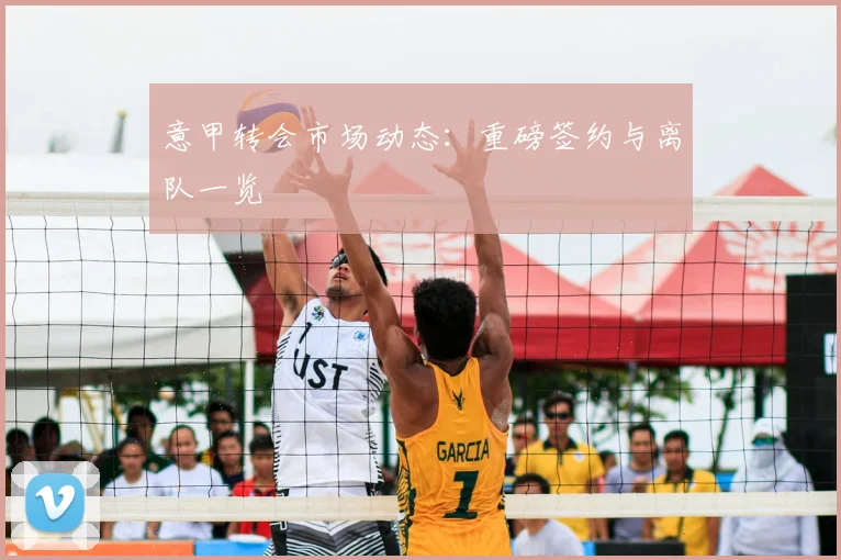 意甲转会市场动态：重磅签约与离队一览