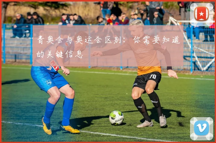 青奥会与奥运会区别：你需要知道的关键信息