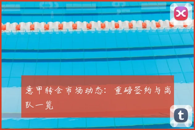 意甲转会市场动态：重磅签约与离队一览
